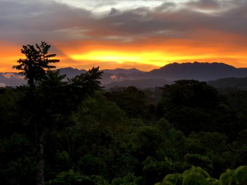 coral_tree_lodge_sun_1