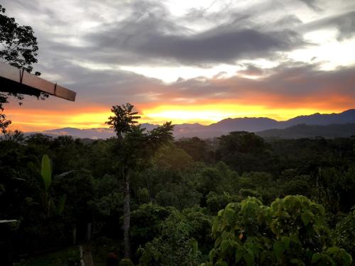 coral_tree_lodge_sun_2
